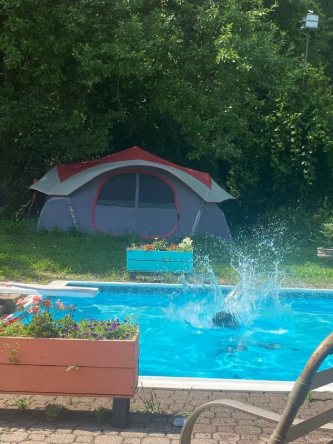 Backyard swimming pool